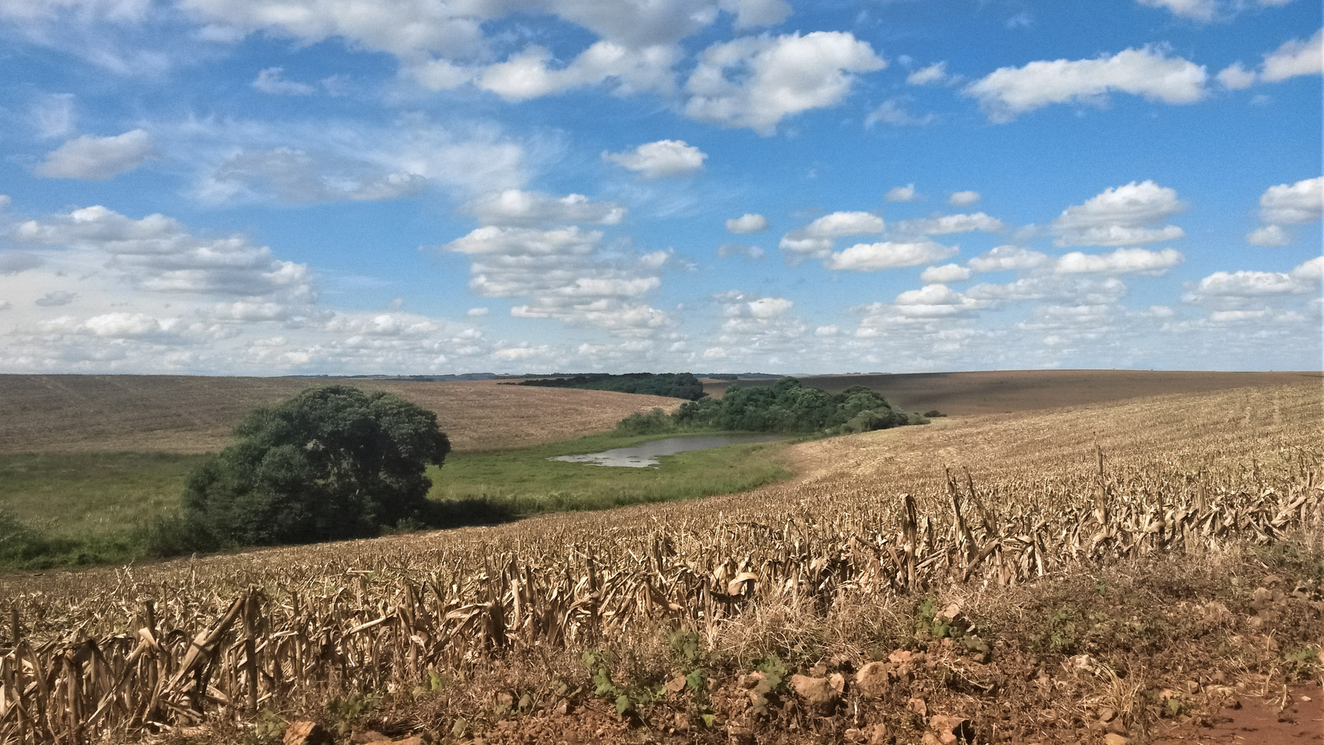 brasilianische-landwirte-streben-nachhaltigkeit-an-flur-furche