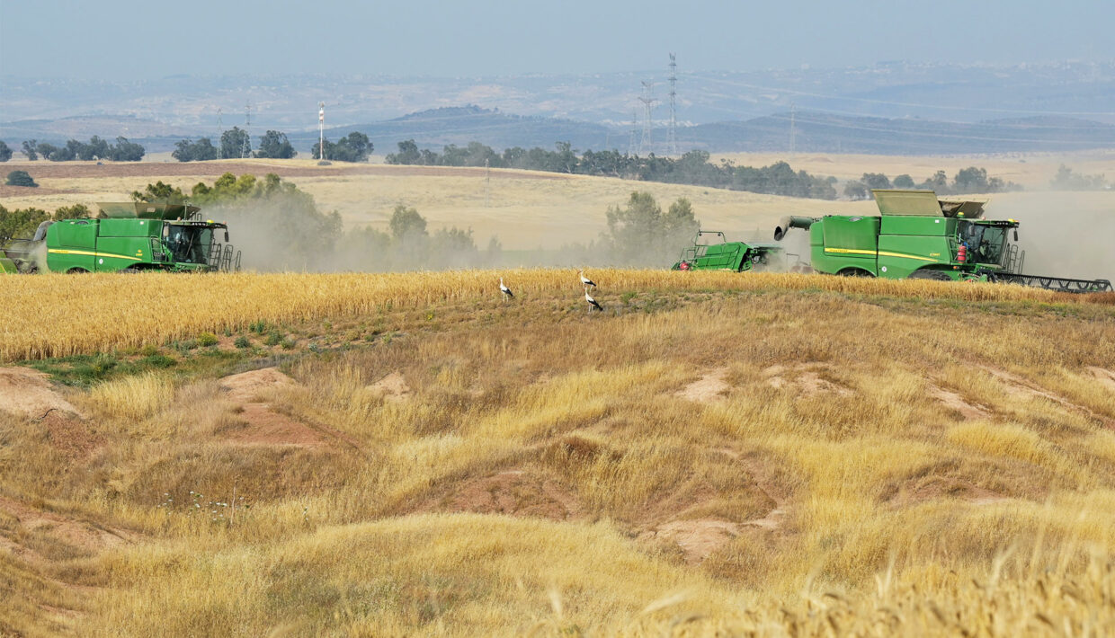 LANDWIRTSCHAFT IN DER WÜSTE - FLUR & FURCHE LANDWIRTSCHAFT IN DER WÜSTE - FLUR & FURCHE