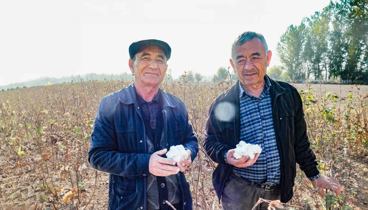 Das weiße Gold: Baumwollanbau in Usbekistan - FLUR & FURCHE